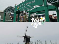 -荷兰花海