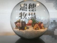 -瑞穗牧场