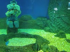 -大连圣亚海洋世界
