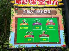 -广州长隆飞鸟乐园