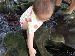 -成都市活水公园