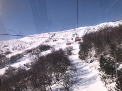 -密苑云顶乐园(云顶滑雪场)