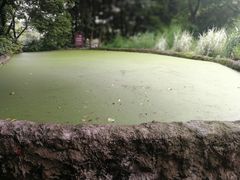 -成都市活水公园