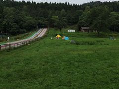 -武陵山森林公园