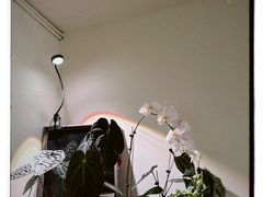 -本無咖啡·BeanWood Coffee