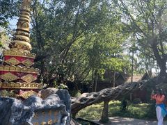 -瑞丽独树成林风景区