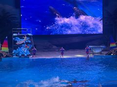 -海合安武汉极地海洋公园