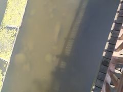 -重庆彩云湖湿地公园