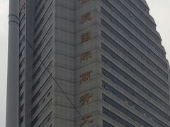 -崔勇假发