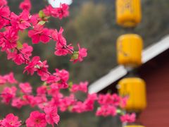 -英西峰林·洞天仙境