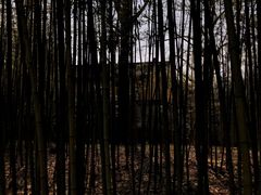 -上海市龙华烈士陵园