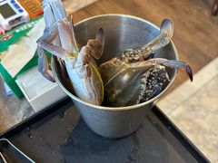 -亚马逊蒸汽活海鲜自助(LCM置汇旭辉广场店)