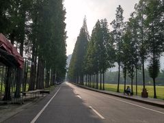 -青城山