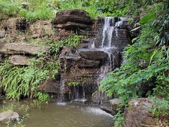 -水濂山森林公园