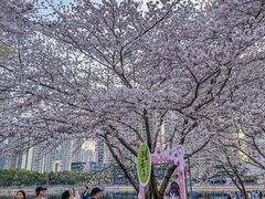 -西北湖绿化广场