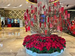 -堂会·KTV·自助餐·团建聚会(天河店)