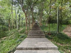 -赭山公园