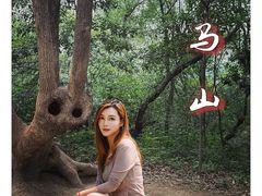 -上海佘山国家森林公园天马山园