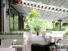 -Local泰莲庭(虹鳟鱼店)