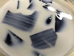 加减烧仙草-加减茶饮(高沙店)