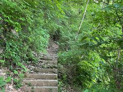 -终南山国家森林公园