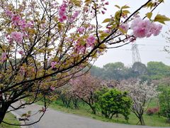 -石峰公园
