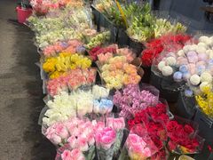 -循礼门鲜花花市(武汉循礼门店)