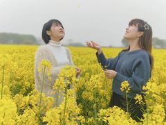-湖山人家·湖景餐厅·特色农家菜(太湖西山店)