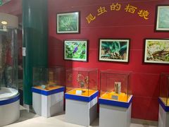 -上海昆虫博物馆