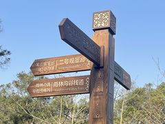 -南宁良凤江国家森林公园