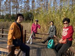 -上海长兴岛郊野公园