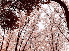 -堤角公园