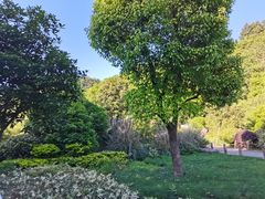 -贵阳市花溪国家城市湿地公园