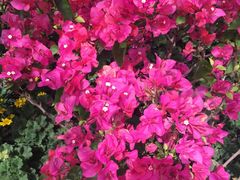 -上海植物园·停车场