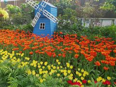 -南宫五洲植物乐园