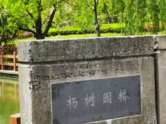 -九科绿洲