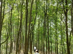 -广州市帽峰山景区