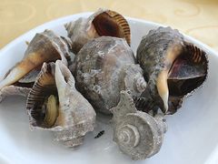 -海岛渔村大酒店(云霄路店)