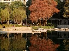 -四海公园(南山区)