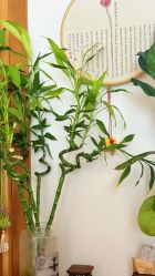 -无漾·美学科技美肤馆