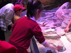 -沈阳海洋探索中心