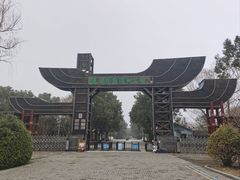 -溱湖国家湿地公园