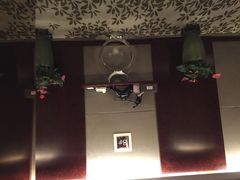 环球恐龙城维景国际大酒店-常州环球恐龙城维景国际大酒店