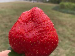 -东莞植物园