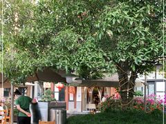 -高坎一品甲鱼庄(两河店)