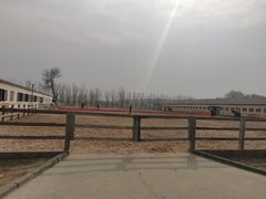 -北京群众马术培训基地