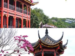 -顺峰山公园