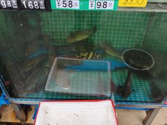 -好味道海鲜大排档·老字号(巽寮湾海鲜市场店)