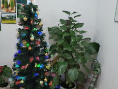 -易生活购物公园