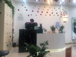 点击看大图 -原素造型